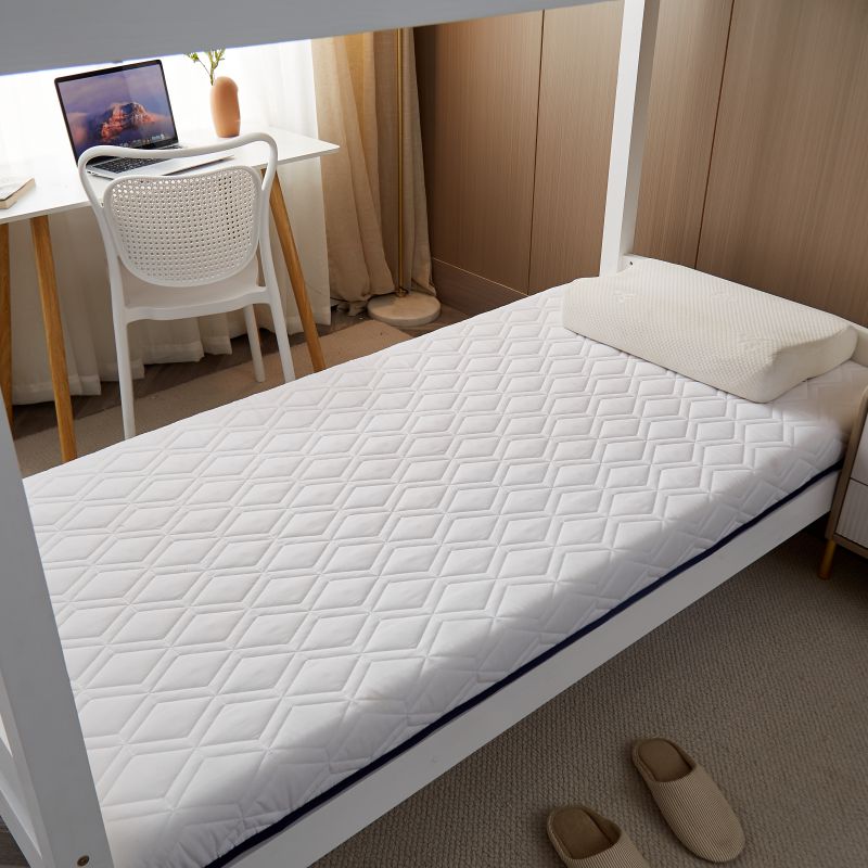 2022新款学生宿舍床垫乳胶海绵床垫 1.2*2.0m（5公分） 白色