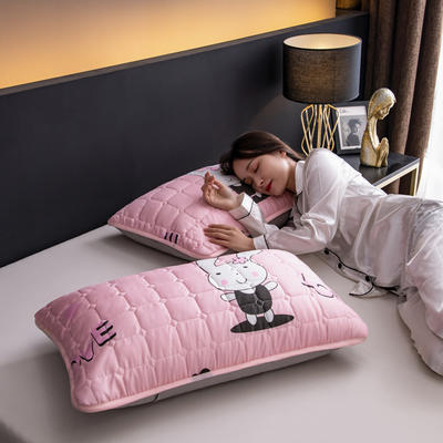2024防水枕套一对装双人枕套长枕套枕头套枕芯套 1.2米:48*120一只 可爱兔