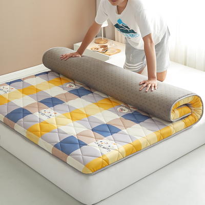 2023新款床垫系列-大豆磨毛印花硬质棉床垫5厘米 90*190 格调