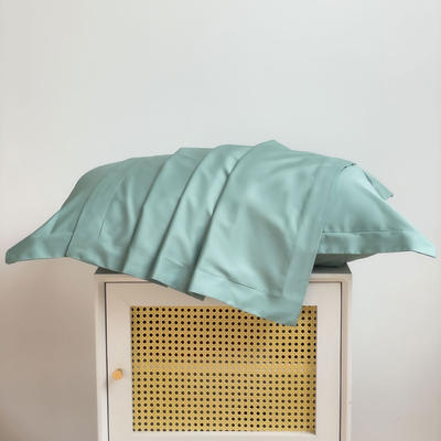 2023新款全棉100支长绒棉纯色系列单品枕套 枕套一对 月光绿